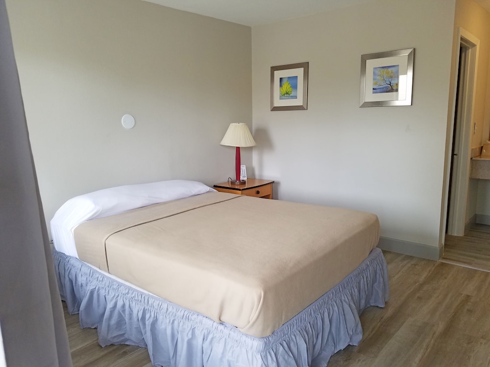 Studio, 1 Queen Bed photo 1
