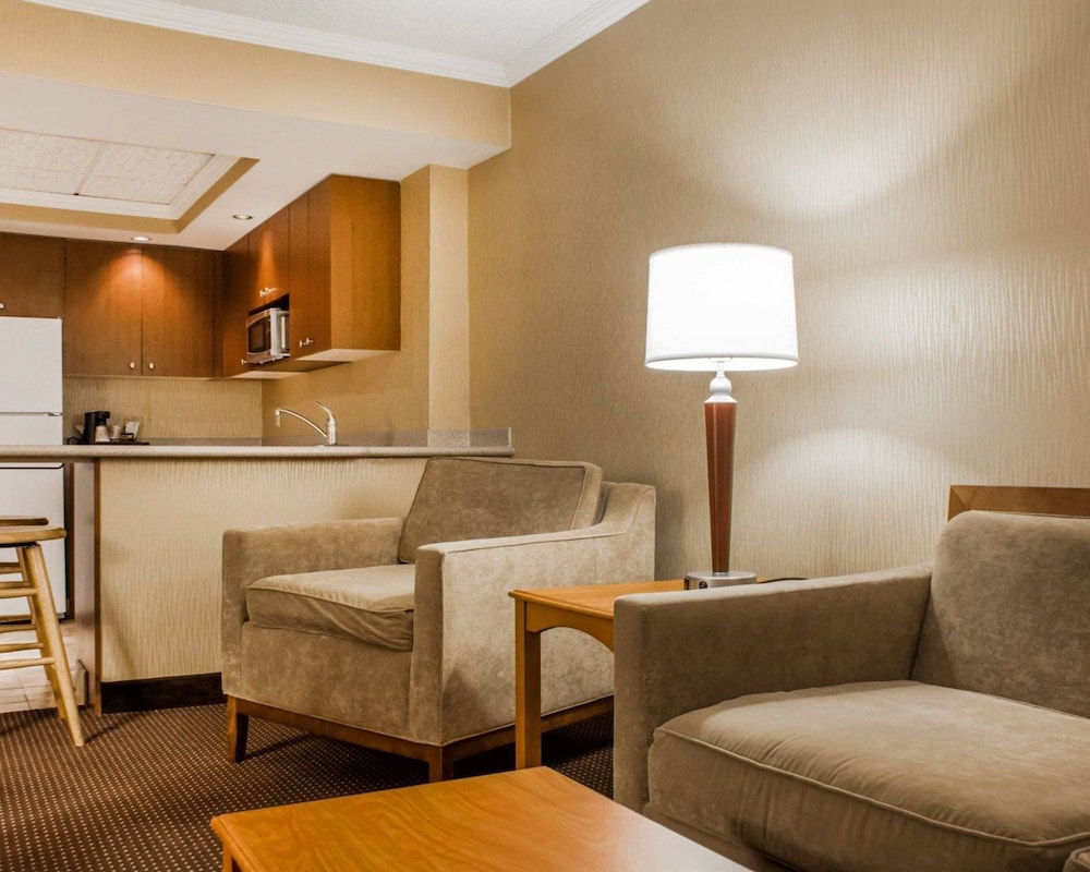 Efficiency, Suite, 1 King Bed with Sofa bed, Non Smoking photo 1
