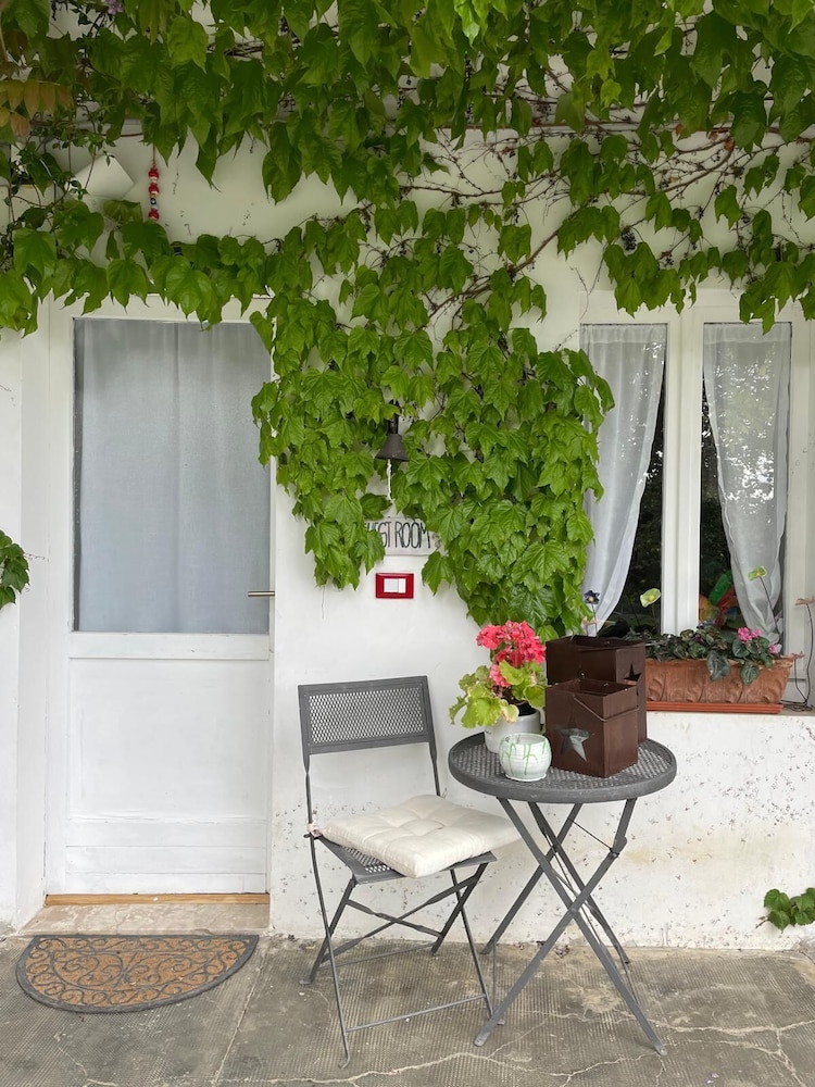Basic Double Room, Garden View