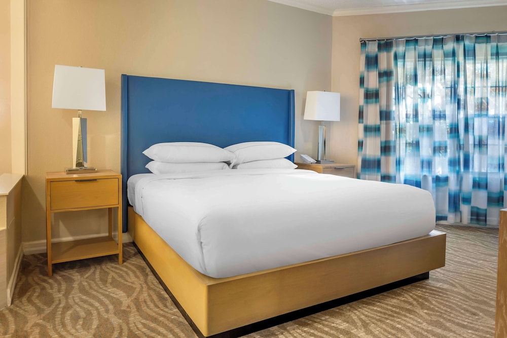 Suite, 1 King Bed with Sofa bed