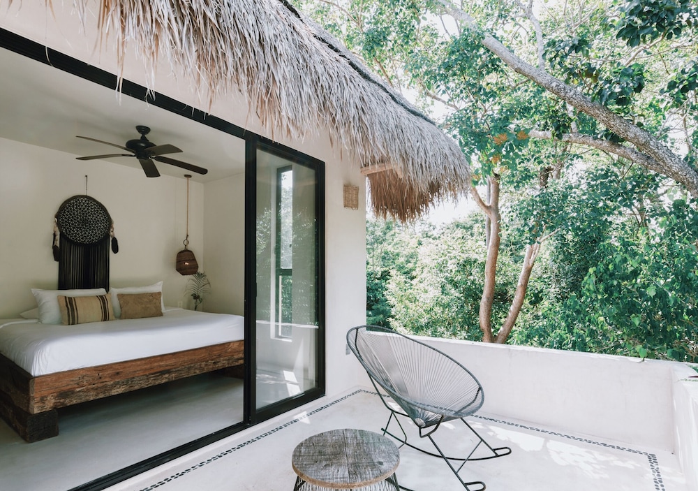 Tropical Room - Terrace