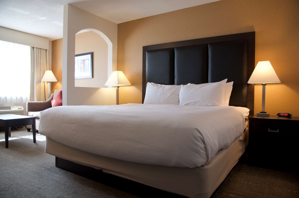Executive Suite, 1 King Bed, Non Smoking, Refrigerator & Microwave