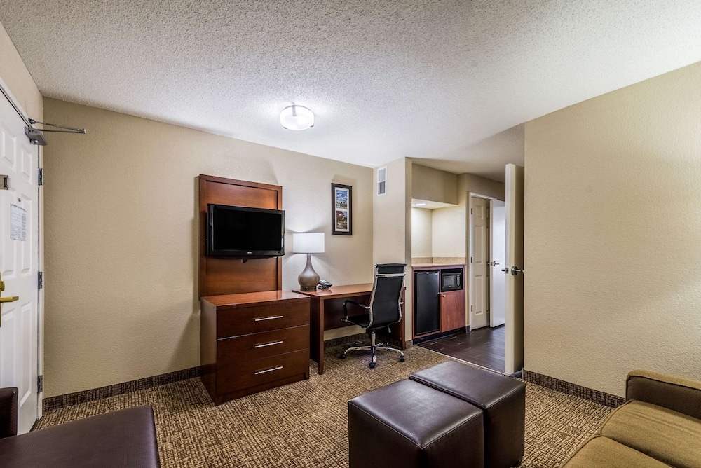 Suite, 1 King Bed with Sofa bed, Non Smoking (2 Person Sofa Bed) - Photo 4