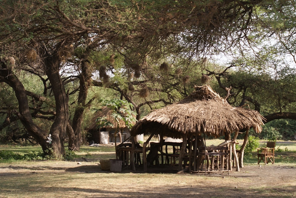 Deluxe Tent, Garden View