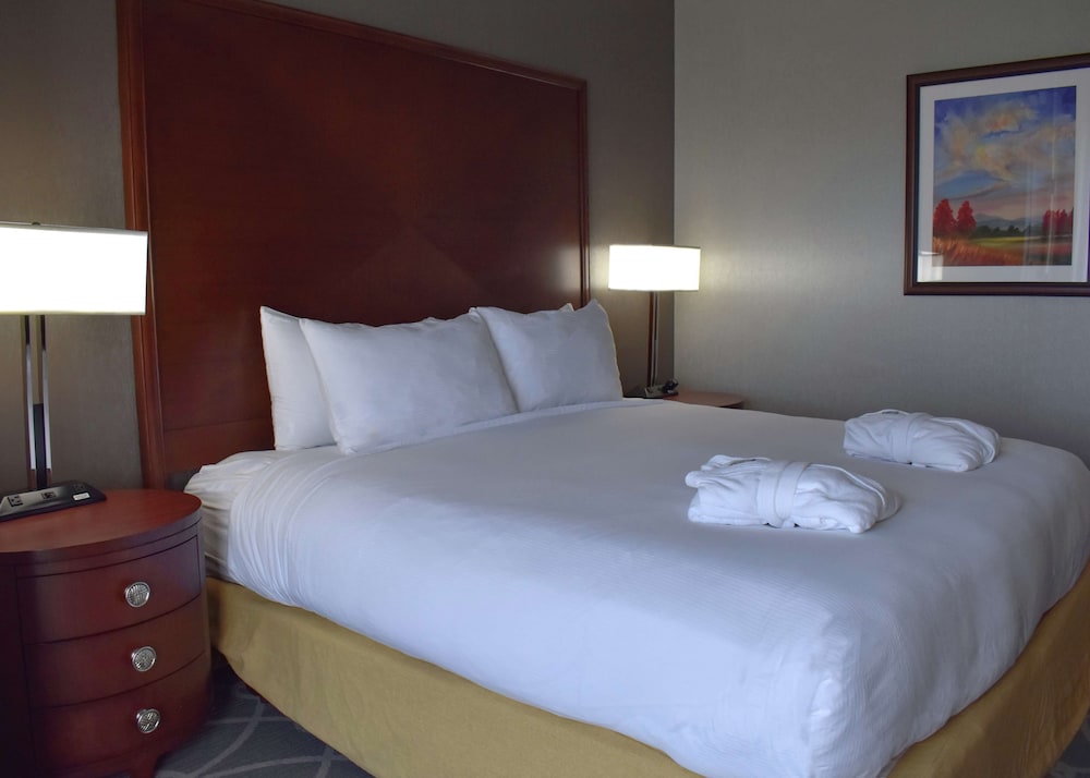 Premium Room, 1 King Bed, Accessible, Non Smoking - Photo 1