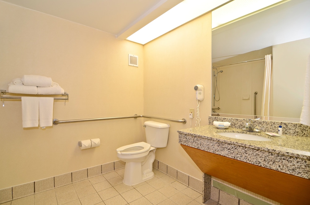 Standard Room, 1 King Bed, Non Smoking, Refrigerator & Microwave photo 3