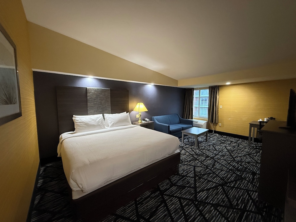 Room, 1 King Bed photo 1
