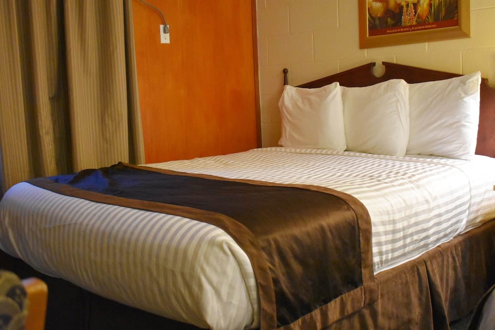 Standard Room, 1 Queen Bed photo 1