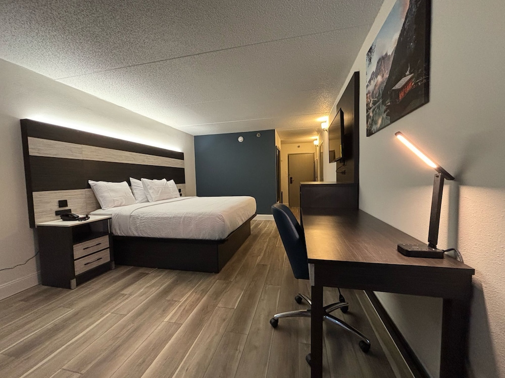 Room, 1 King Bed, Non Smoking