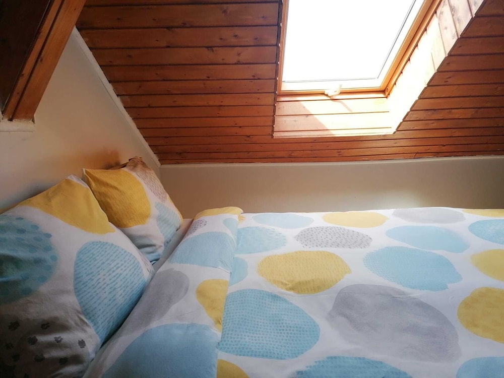 Twin Room photo 2