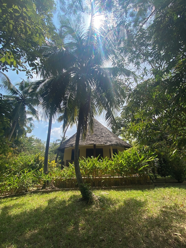 Comfort Double or Twin Room, 1 Bedroom, Non Smoking, Garden View photo 1