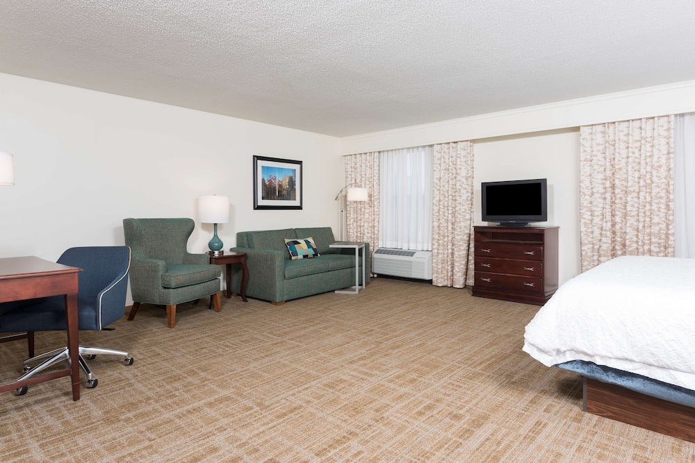 Studio Suite, 1 King Bed with Sofa bed