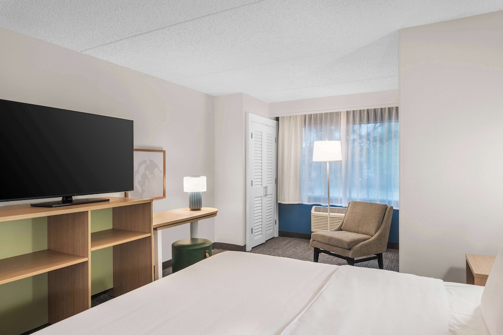 Room, 1 King Bed, Accessible (Mobility, Hearing, Roll-In Shower) - Photo 3