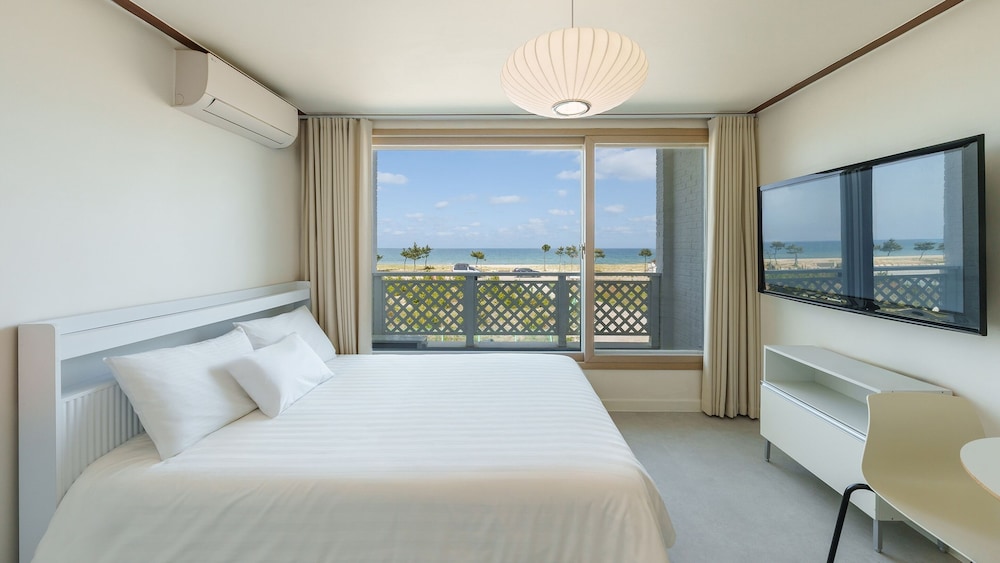 Basic Room, 1 Bedroom (204 (Ocean View / DOGS ONLY))