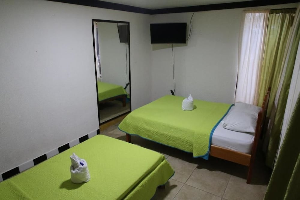 Basic Quadruple Room photo 2