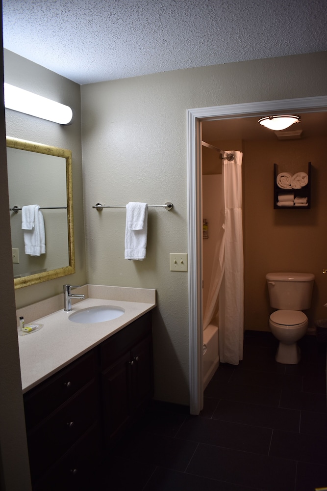 Suite, 1 Bedroom, Accessible, Kitchen (Accessible Tub) - Photo 6