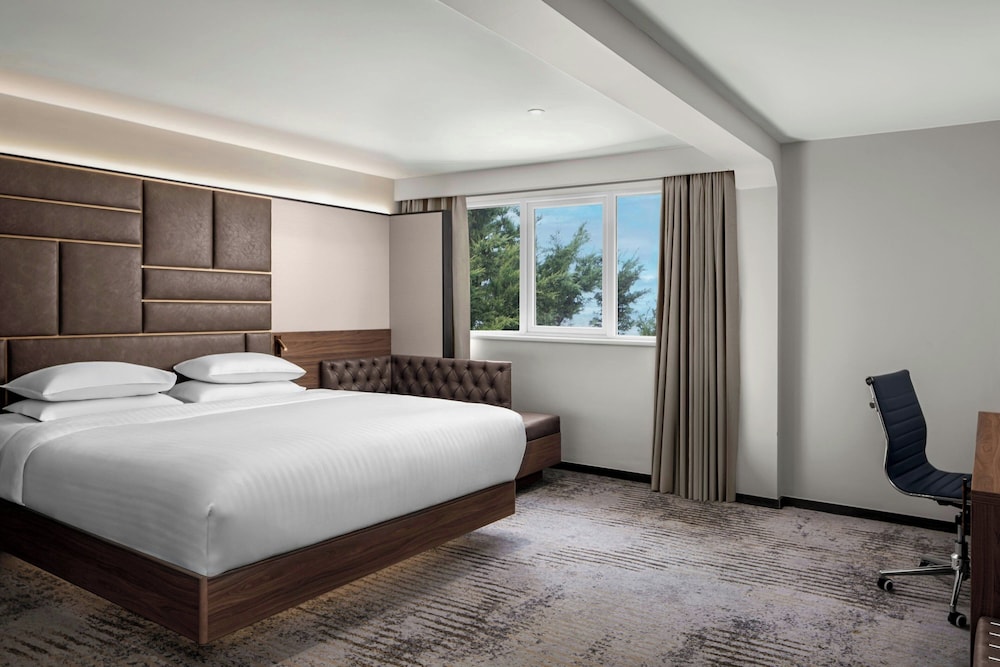 Executive Room, 1 King Bed - Photo 4