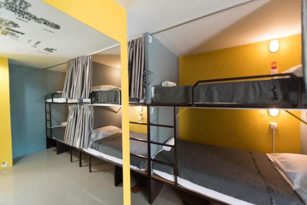 Shared Dormitory photo 1