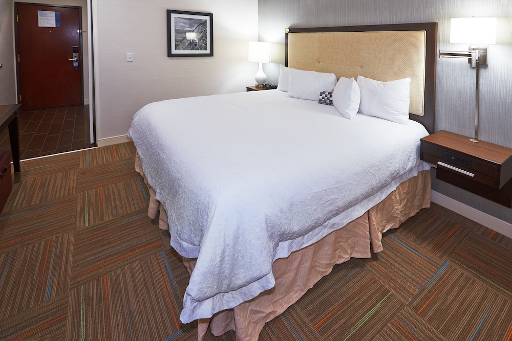 Room, 1 King Bed, Accessible (Roll-In Shower) - Photo 4