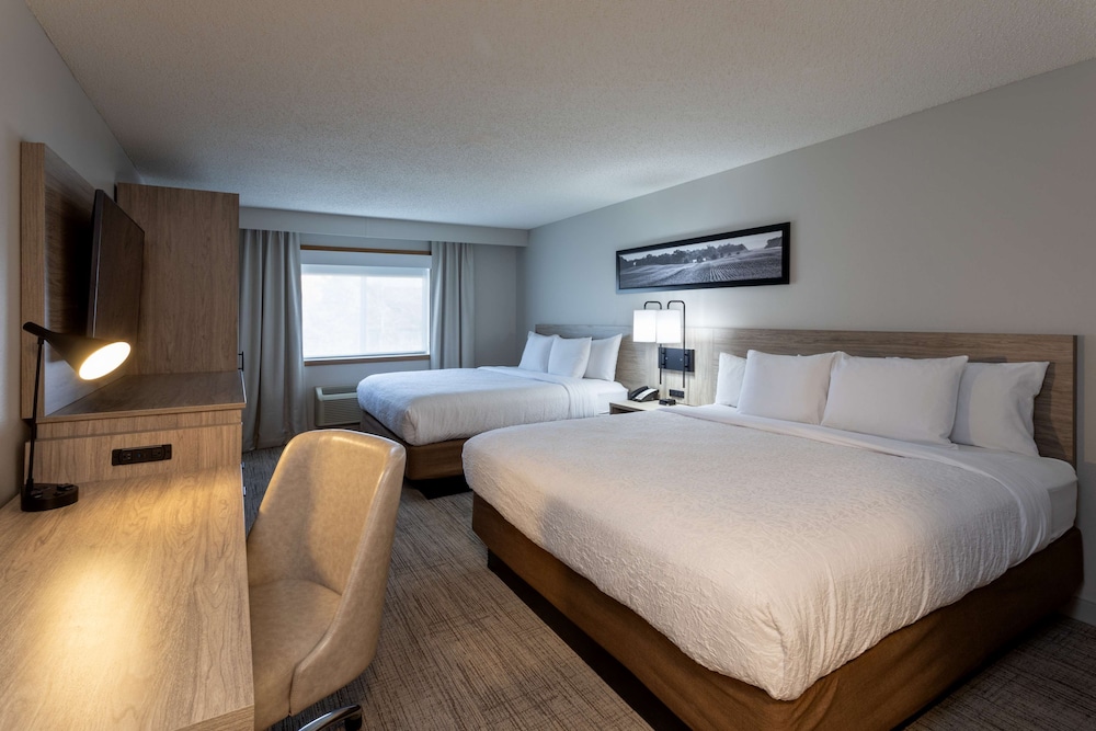 Room (Double Kings) photo 1