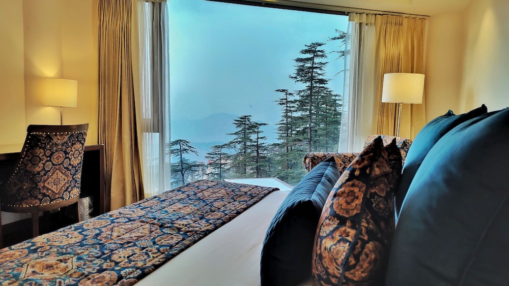 Executive Studio Suite - Photo 10