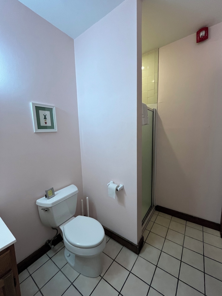 Basic Room photo 2