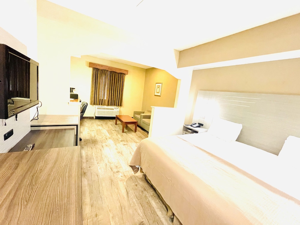 Executive Room, 1 King Bed photo 2