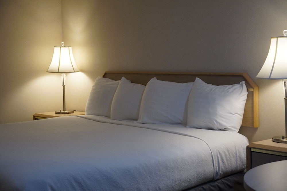 Standard Room, 1 King Bed, Non Smoking photo 1