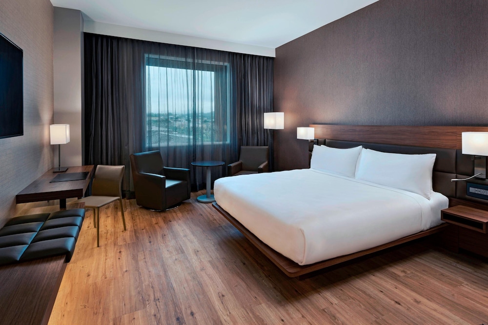 Suite, 1 King Bed