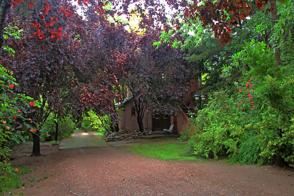 Suite (Prunus)