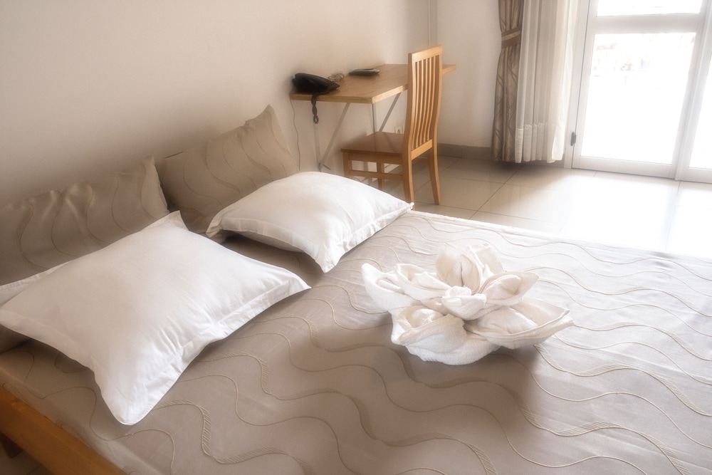 Business Double Room, 1 Double Bed photo 3
