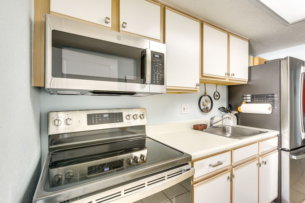 Apartment (1 Bedroom) photo 3