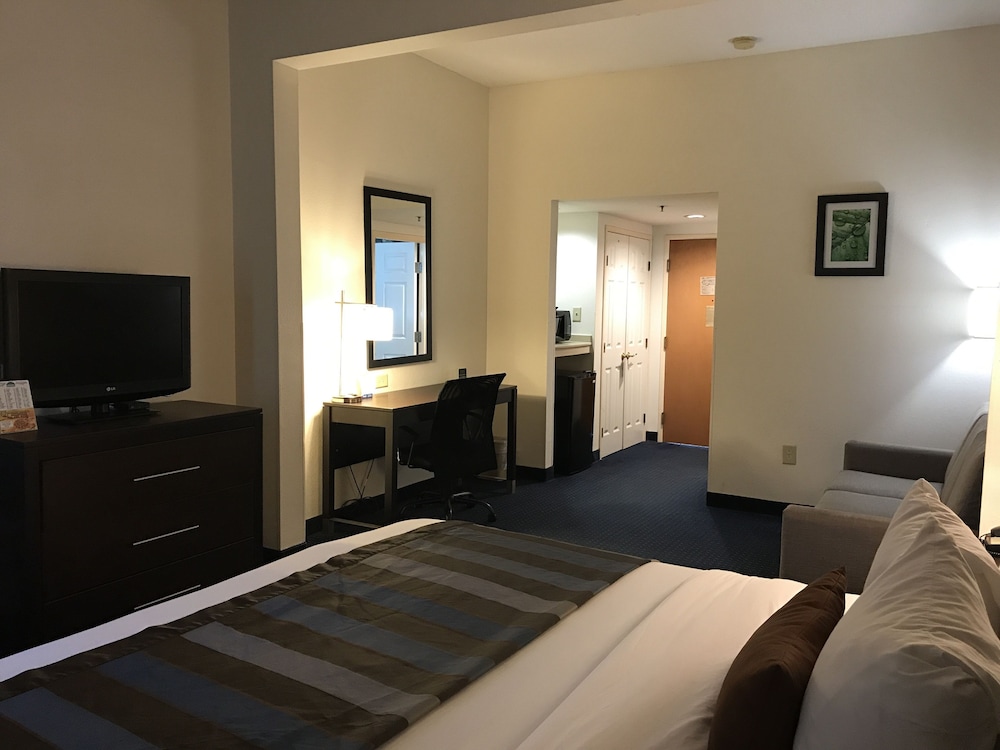 Standard Room, Non Smoking, Refrigerator & Microwave, photo 6