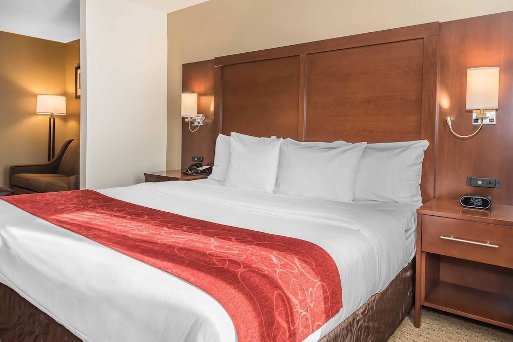 Suite, 1 King Bed, Non Smoking - Photo 9