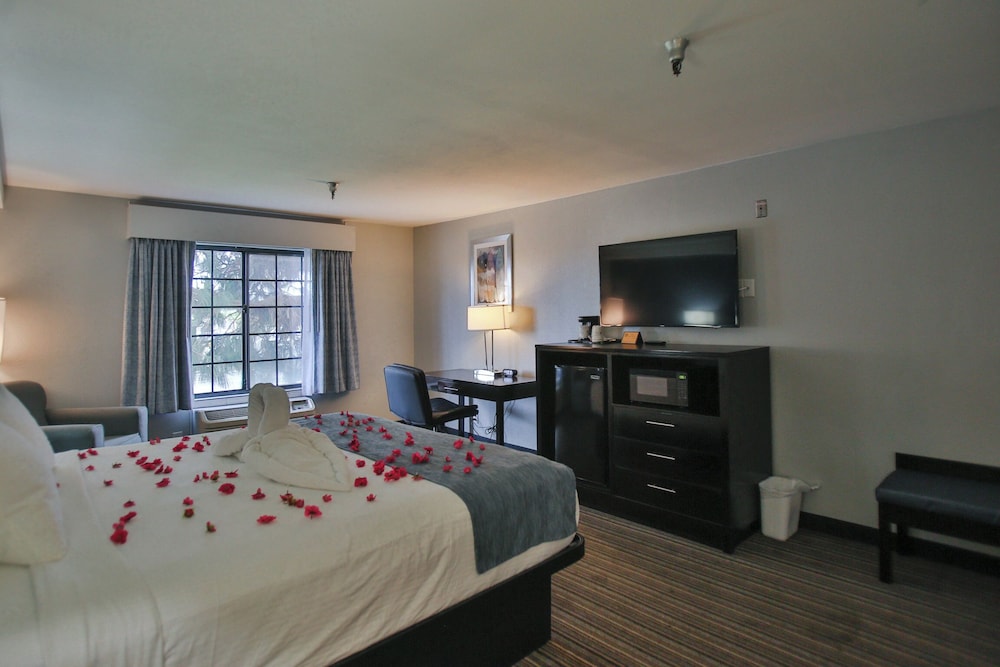 Suite, 1 King Bed, Non Smoking, Refrigerator & Microwave photo 1