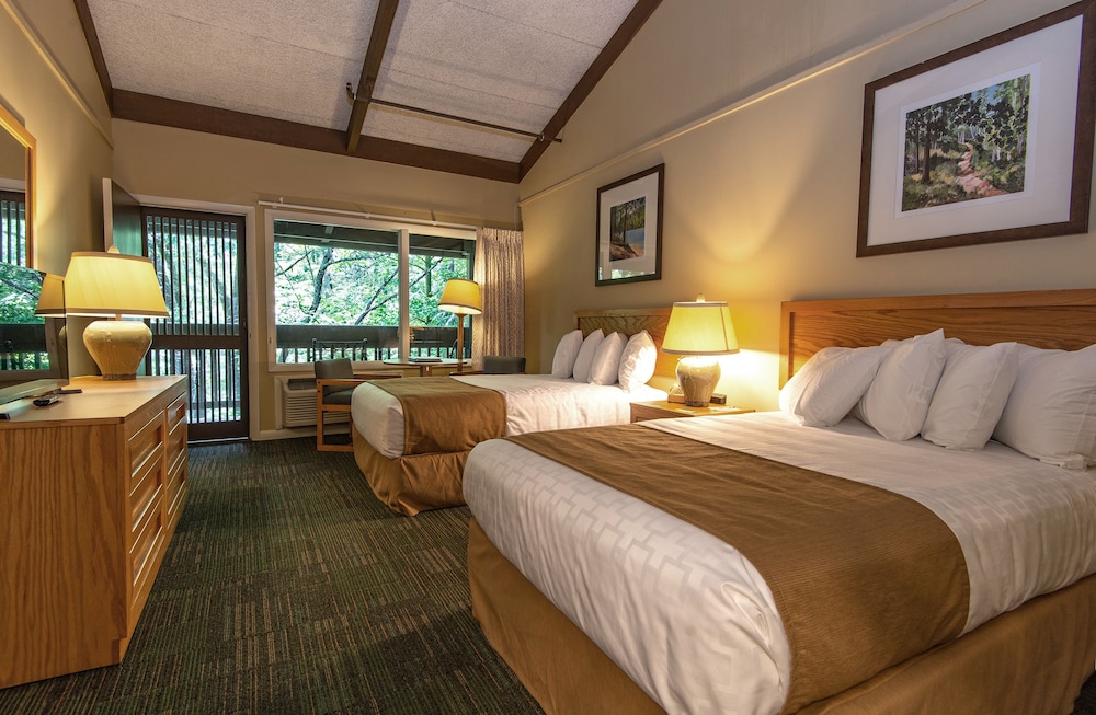 Deluxe Room photo 1