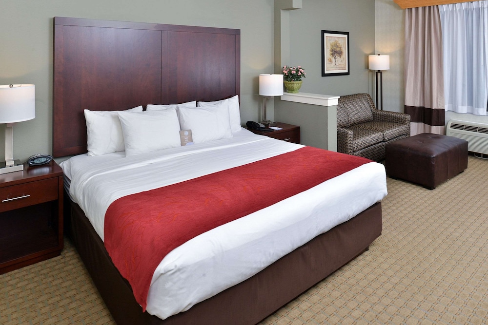 Suite, 1 King Bed with Sofa bed, Non Smoking - Photo 1