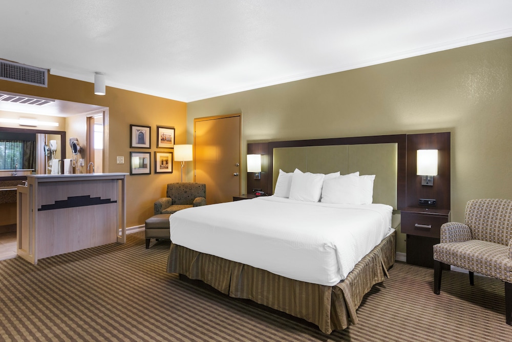 Deluxe Room - Photo 4