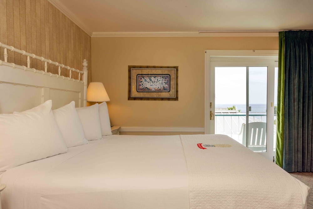 Deluxe Room, 1 King Bed, Balcony, Lake View photo 2