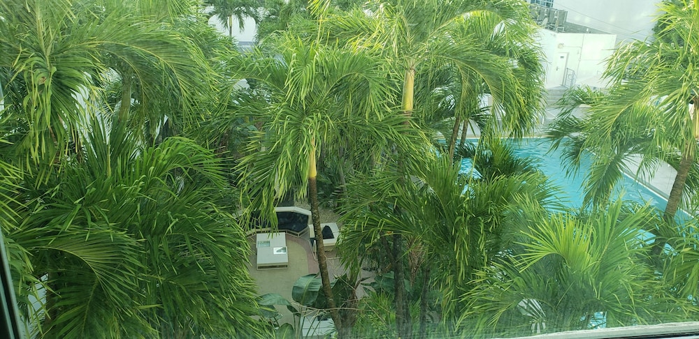 Executive Suite, 1 Bedroom, Ensuite, Pool View - Photo 6