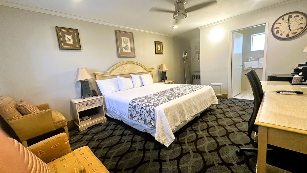 Traditional Room, 1 King Bed photo 2