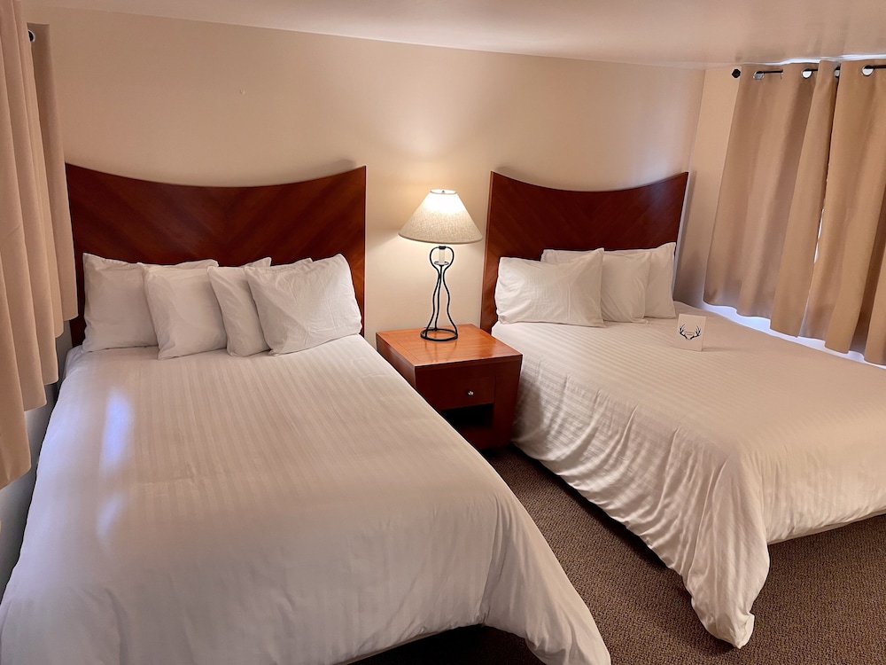 Standard Double Room (No Pets)
