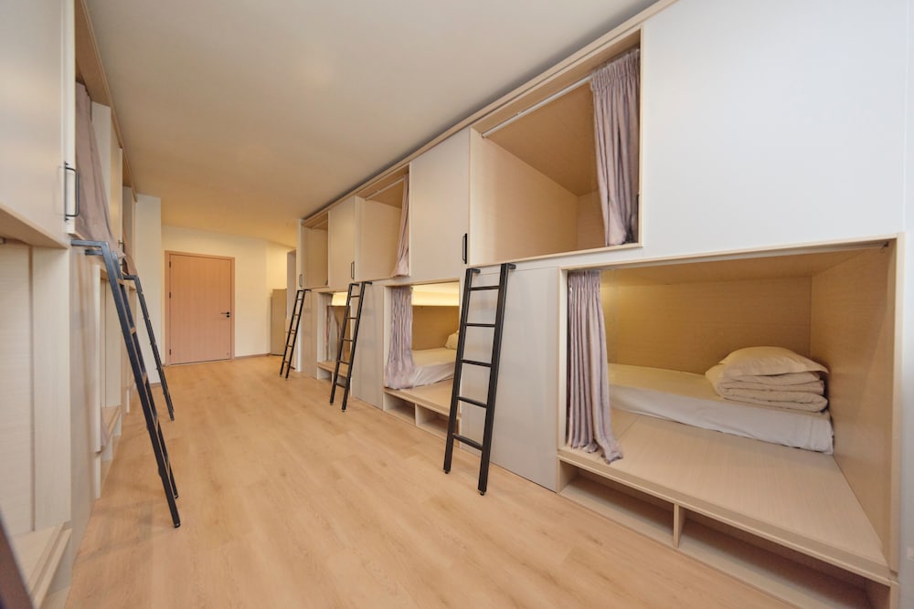 Standard Shared Dormitory photo 1