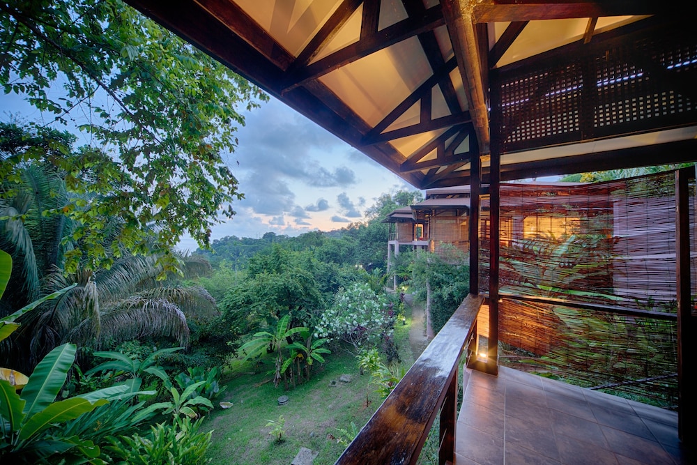 Premium King Villa photo 3