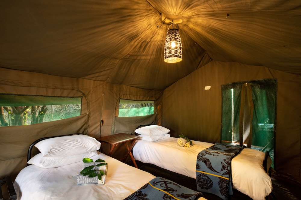 Basic Tent