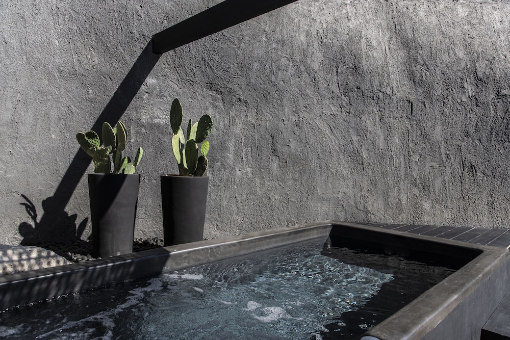 Secret Suite with Infinity Hot tub - Photo 8