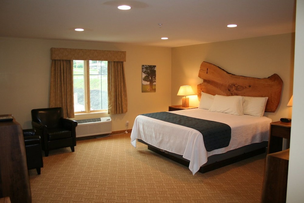 Deluxe Room photo 3