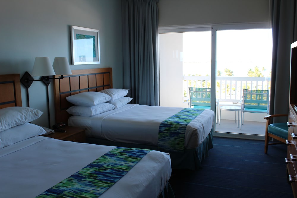 Studio Suite, 2 Double Beds photo 3