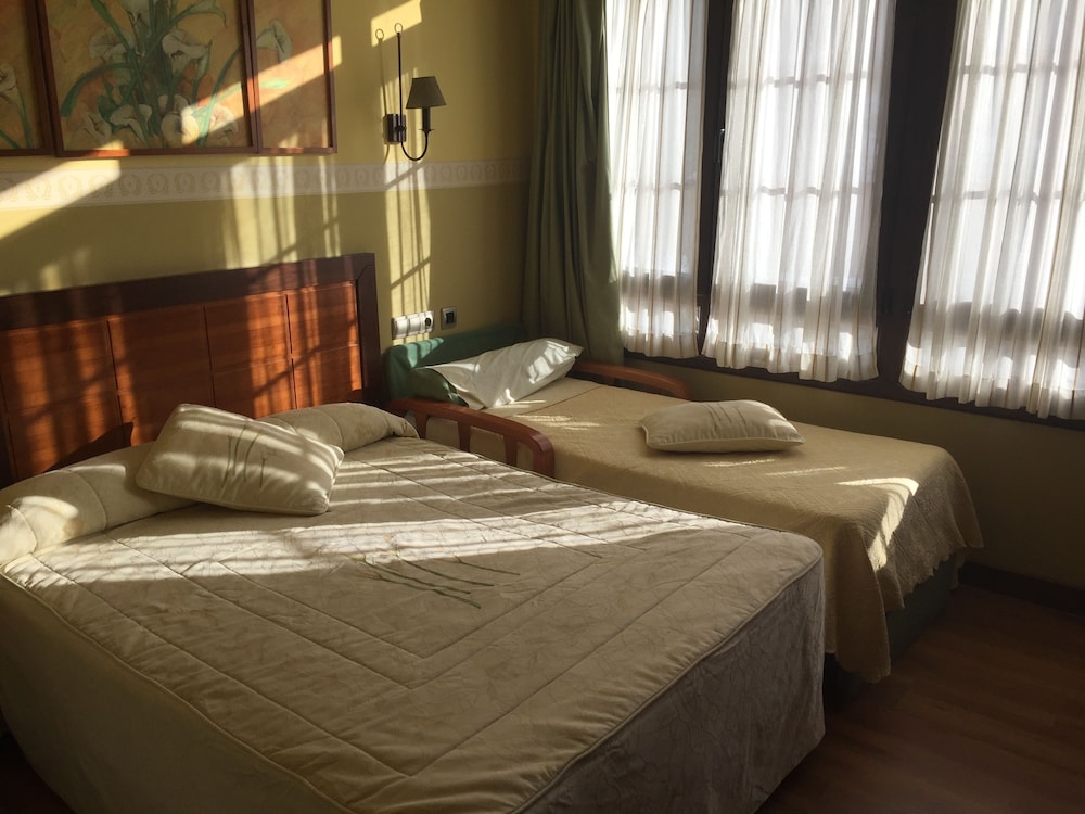 Room, 1 Queen Bed With Sofa Bed photo 3