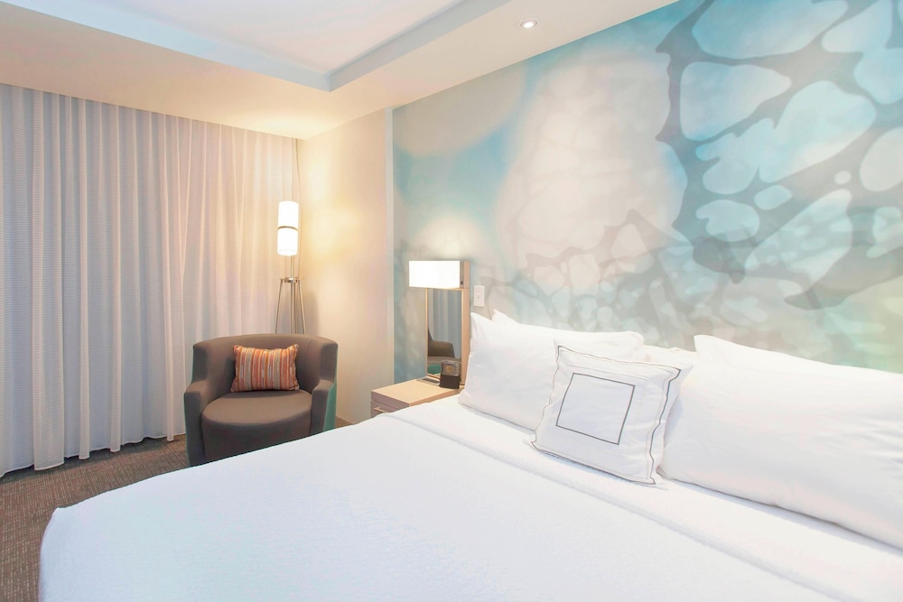 Suite, 1 King Bed photo 3